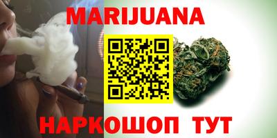Альфа ПВП Камышлов