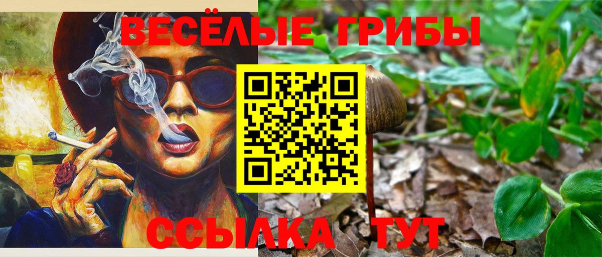 Псилоцибиновые грибы MAGIC MUSHROOMS  купить наркотик  Крымск  Псилоцибиновые грибы мицелий  Вход с VPN 